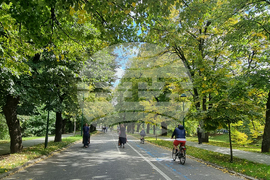 Босна и Херцеговина - предизборна обстановка