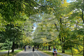 Босна и Херцеговина - предизборна обстановка