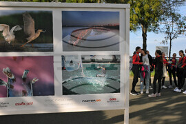 Бургас - Младежко биенале на изкуствата