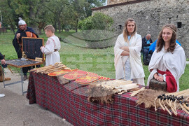 Видин - римски кораб - фестивал