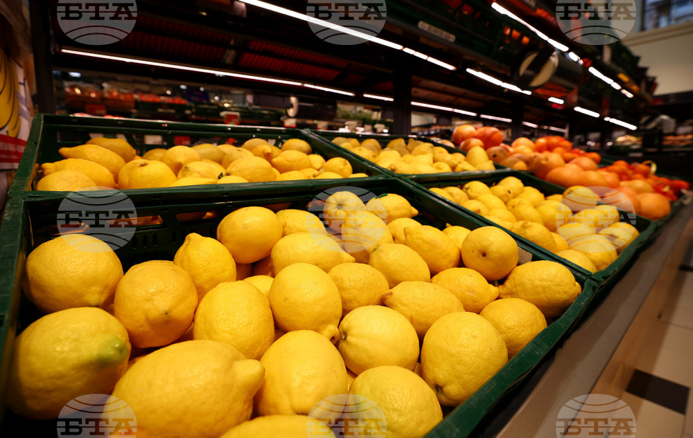 Забранени пестициди са били открити в над 70 тона турски лимони, предназначени за износ в Дубай