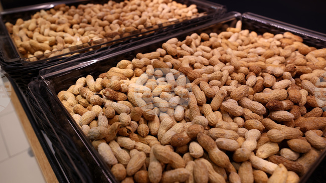 18 Tonnes of Egyptian Peanuts Stopped at Border Due to Health Risk