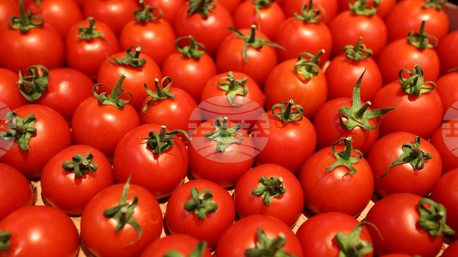 Wholesale Prices of Most Staple Foods, Fruit, Vegetables Show Weekly Rise