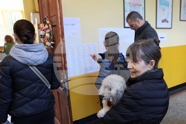 Избори - парламент - гласуване
