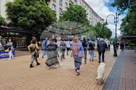 Протест - „СТОП на беззаконието по пътищата“ - автошестие