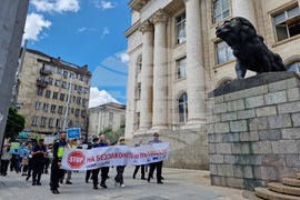Протест - „СТОП на беззаконието по пътищата“ - автошестие