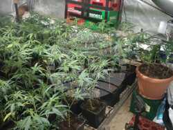 Снимка: МВР