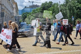 Протест - „СТОП на беззаконието по пътищата“ - автошестие