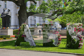 Националната библиотека „Св. Св. Кирил и Методий“ - украса