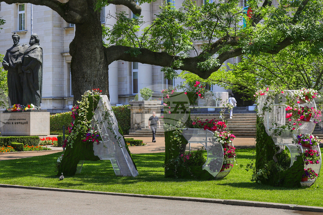 Националната библиотека „Св. Св. Кирил и Методий“ - украса
