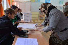 Село Тодорово - парламентарни избори - гласуване