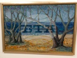 Снимка: Община Плевен