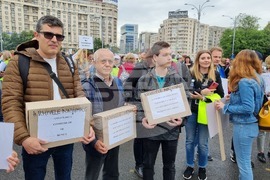Румъния - държавни служители - протест