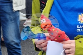 Румъния - държавни служители - протест