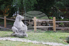 Благоевград - Парк за мечки Белица - медицински преглед