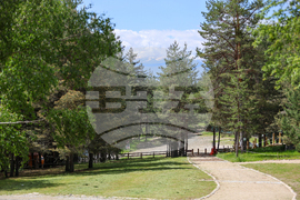 Благоевград - Парк за мечки Белица - медицински преглед