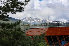 Благоевград - Парк за мечки Белица - медицински преглед