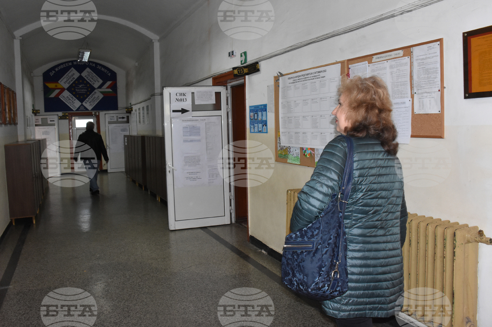 Видин - парламентарни избори - гласуване