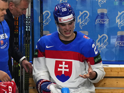 Czech Republic Ice Hockey Worlds