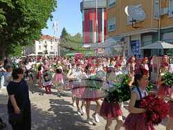 Снимка: Община Плевен