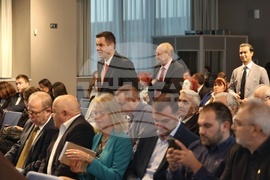 Международна конференция - Никола Стоянов