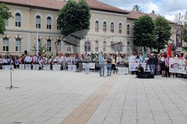 Враца - 24 май - шествие