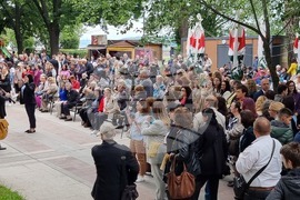 Видин - 24 май - отбелязване