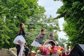 Видин - 24 май - отбелязване