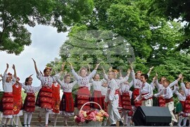 Видин - 24 май - отбелязване