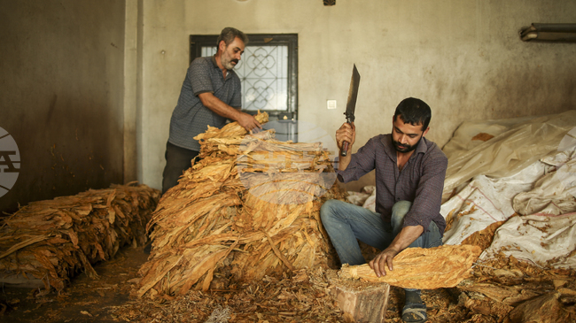 Броят на смъртните случаи на работното място в Турция през ноември достигат най-високото си месечно ниво за последните 14 години 