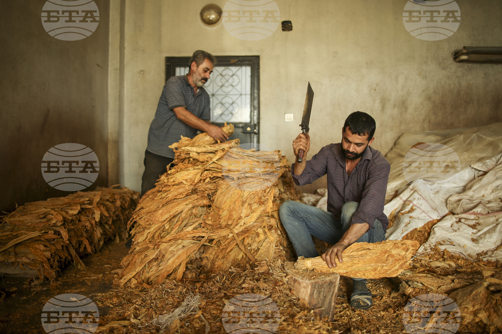 Броят на смъртните случаи на работното място в Турция през ноември достигат най-високото си месечно ниво за последните 14 години 