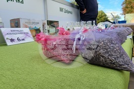 Ямбол - изложение - производители