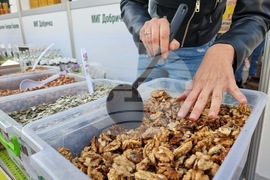 Ямбол - изложение - производители