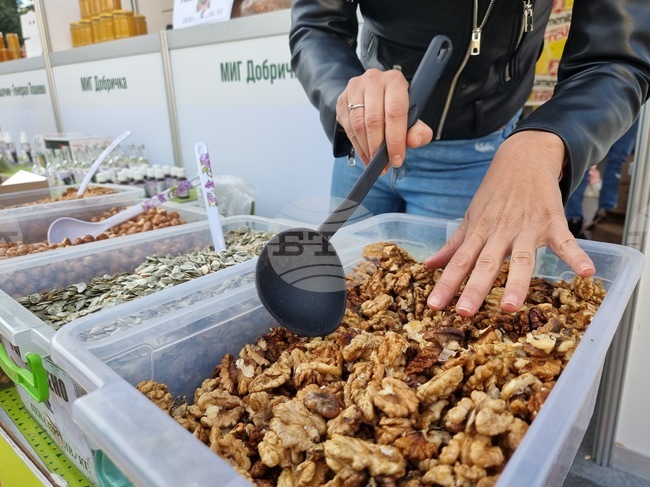 Ямбол - изложение - производители