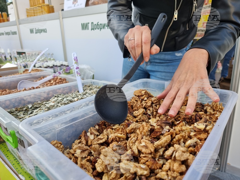 Ямбол - изложение - производители