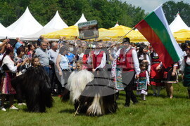 Велико Търново - Национален събор на овцевъдите