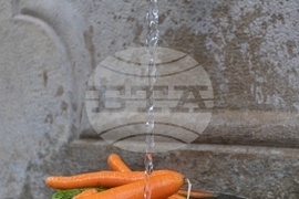 Габрово - Етнографски музей „Етър“ - правене на туршии - демонстрации