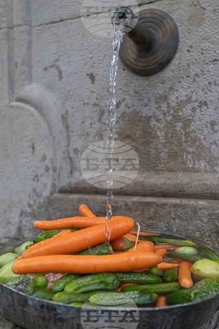 Демонстрации за приготвяне на туршии организират от музей "Етър" в Габрово през уикенда