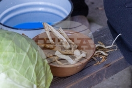 Габрово - Етнографски музей „Етър“ - правене на туршии - демонстрации