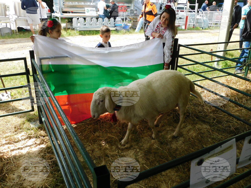 Bulgarian Development Bank Presents Financial Instruments Supporting Agricultural Sector at 13th National Sheep Breeders' Gathering