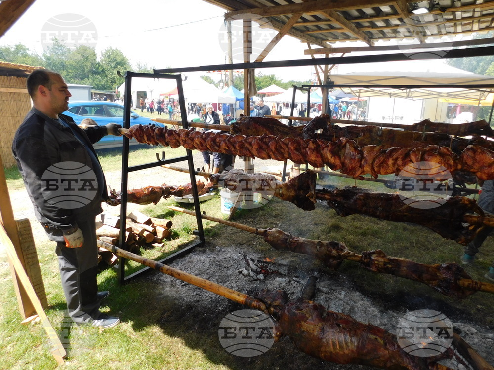 ББР представя специализирани финансови инструменти за подкрепа на аграрния сектор по време на 13-ия Национален събор на овцевъдите