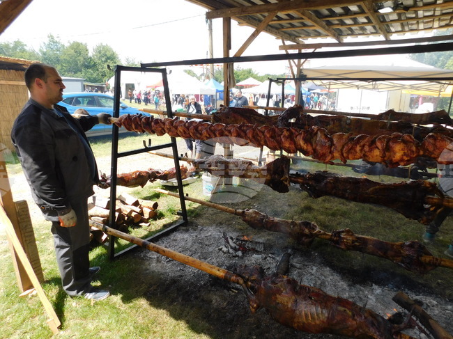 ББР представя специализирани финансови инструменти за подкрепа на аграрния сектор по време на 13-ия Национален събор на овцевъдите