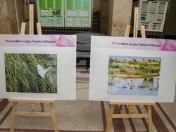 Снимка: Русенски университет „Ангел Кънчев“ – Европейската нощ на учените в Русенския университет.