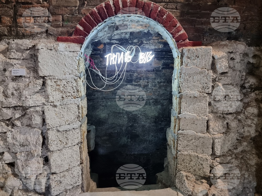 Варна - Форум „Буна“ - изложба „Природата на връзките“