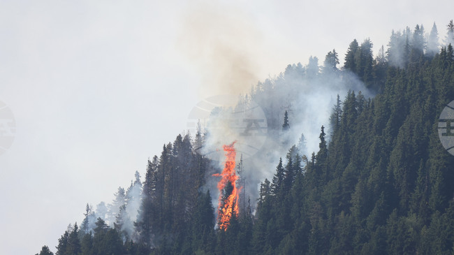 Environmental Organization Warns of Increased Risk of Wildfire