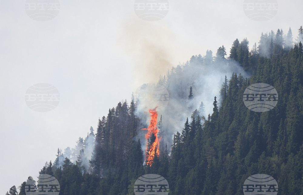 Environmental Organization Warns of Increased Risk of Wildfire