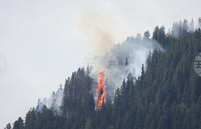 Environmental Organization Warns of Increased Risk of Wildfire