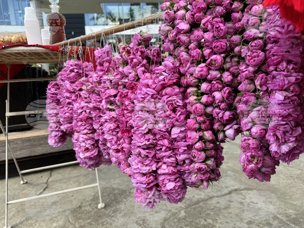 Казанлък - Музей на розата - розоварене