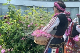 Казанлък - Музей на розата - розоварене