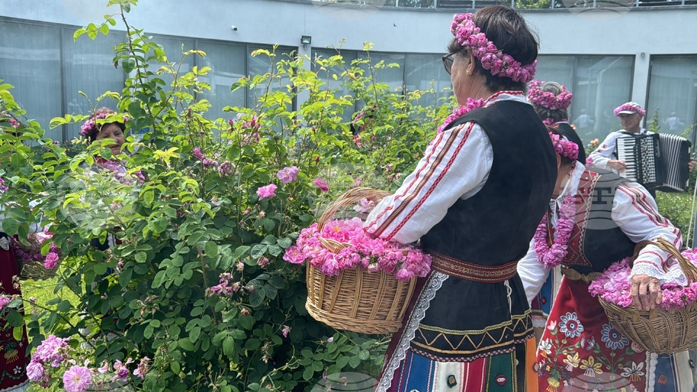 Казанлък - Музей на розата - розоварене